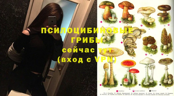соль ск Аркадак