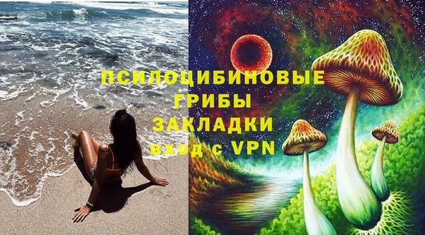 соль ск Аркадак